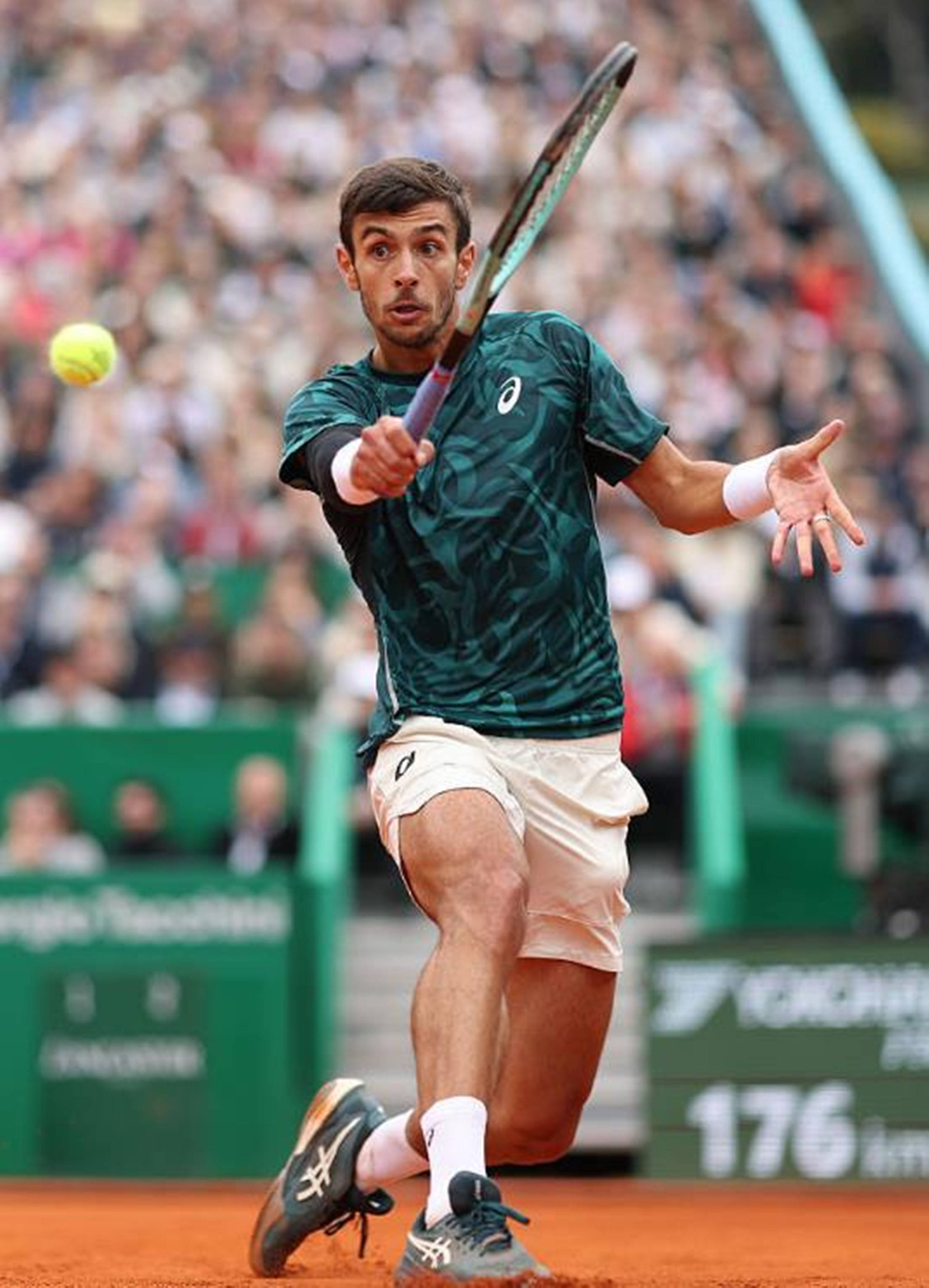 及师资力量 及师资力量