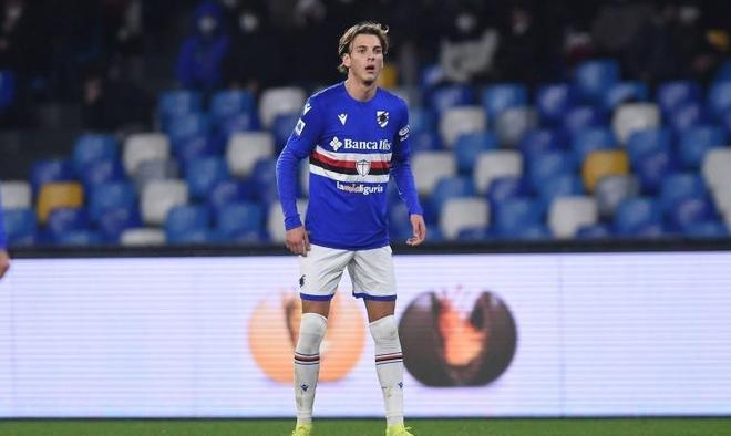 近年来在国 近年来在国