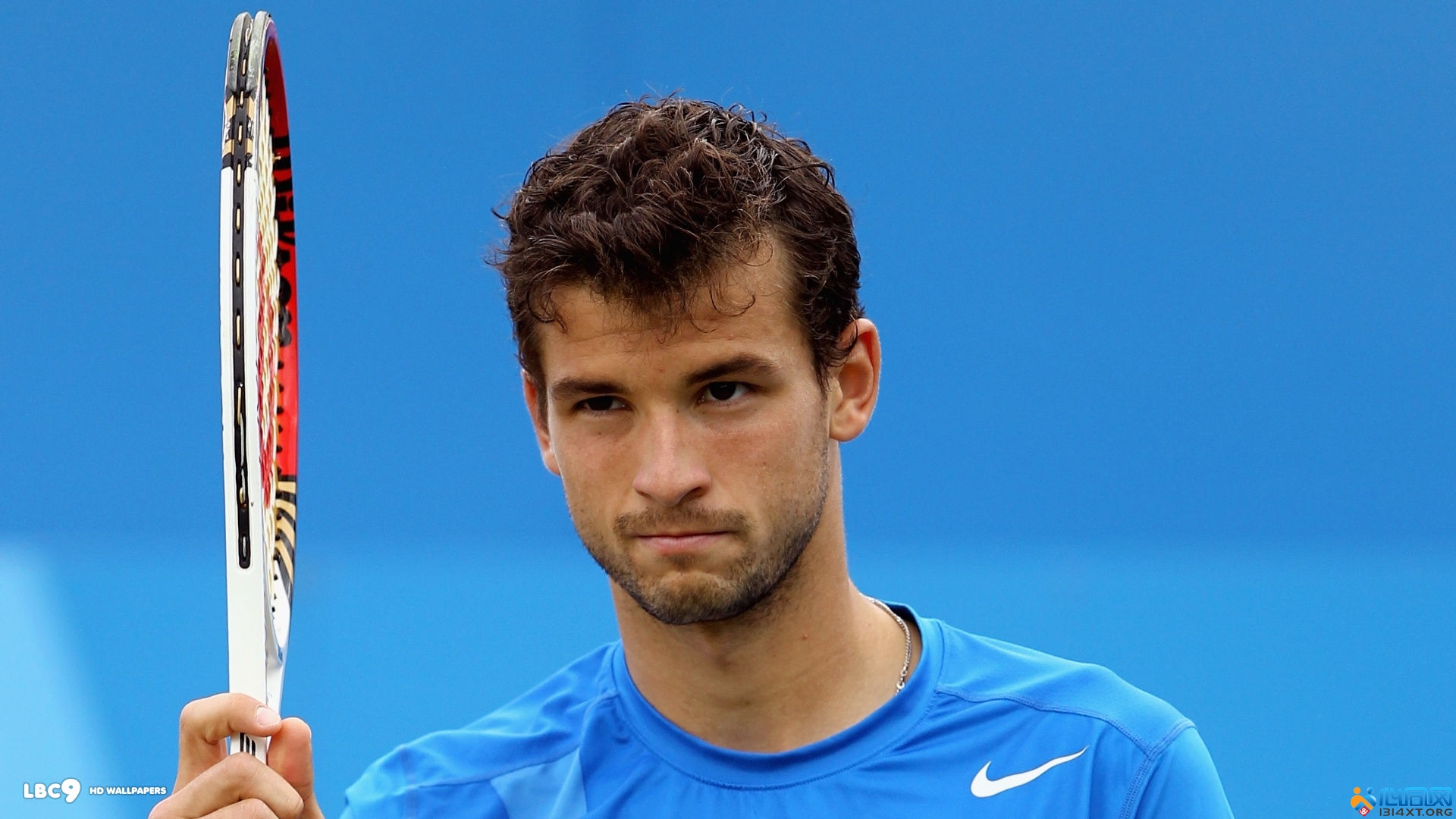 未来展望 未来展望